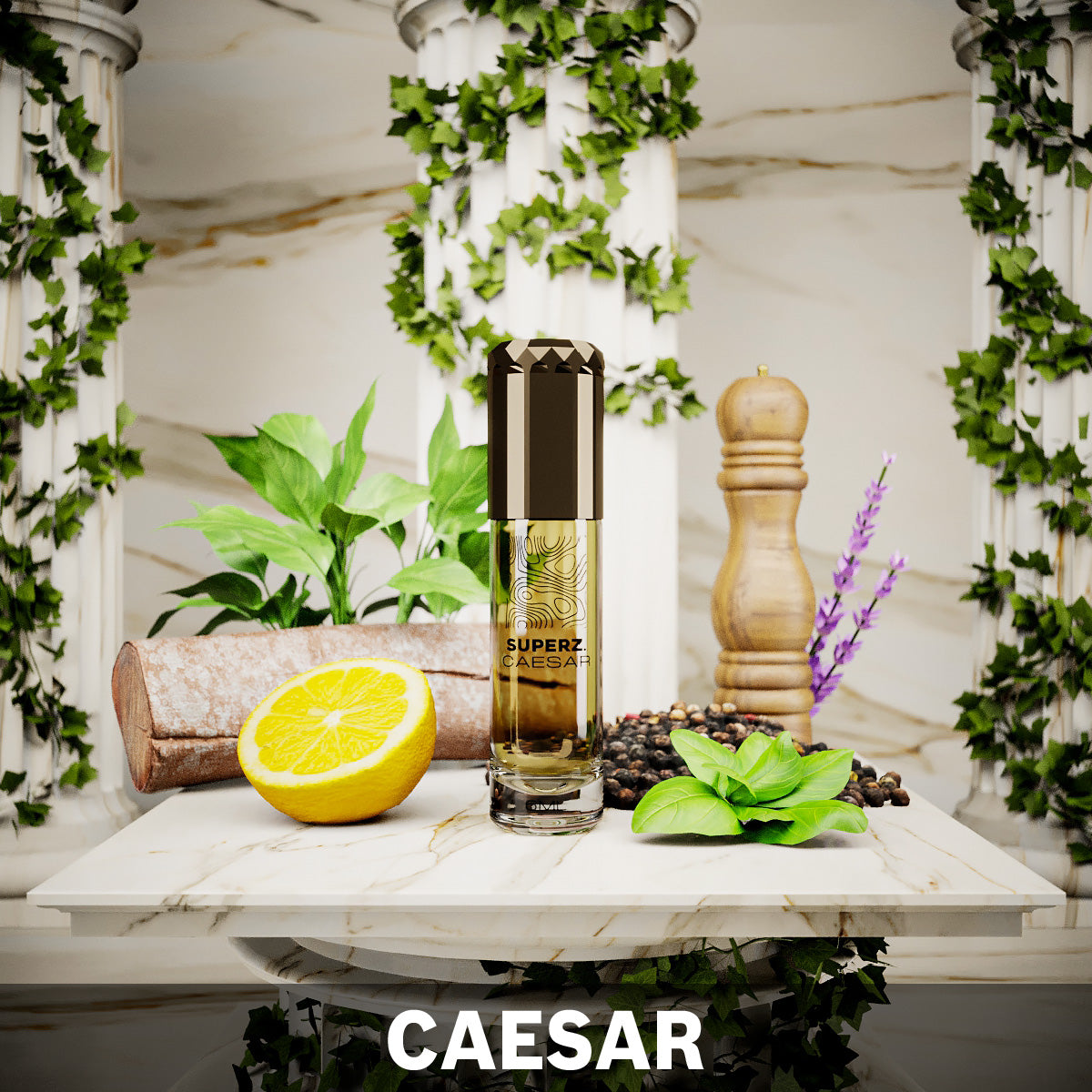 Caesar - Huile de parfum exclusive 100 % 6 ml - Homme