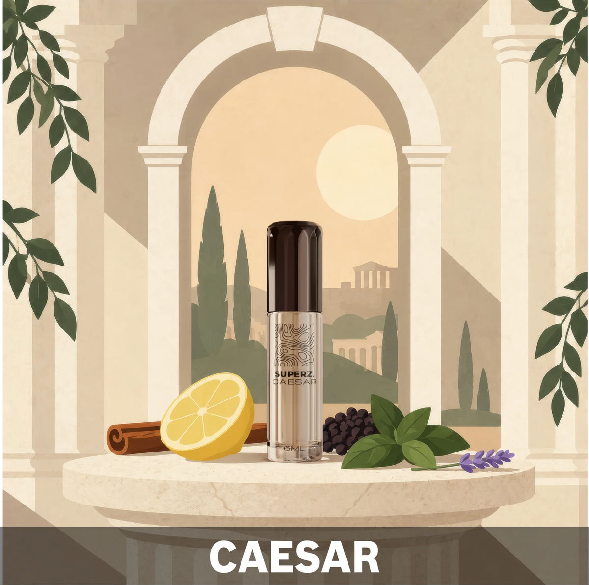 Caesar - Huile de parfum exclusive 100 % 6 ml - Homme